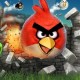 angry_birds_2_android_beta_010910