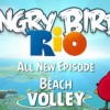 angry-bird-beach-volley