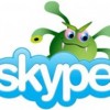 skype-bug-250x187